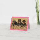 Search for rottweiler puppies cards Rottweiller