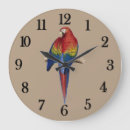Recherche de parot horloges Parrot