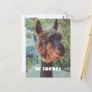 Search for best friend quotes postcards For kids
