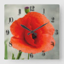 Recherche de pavots horloges Fleurir