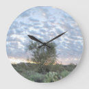 Search for remote paint Arizona