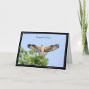 Search for osprey cards Nature