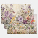 Search for meadow Meadow flowers
