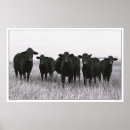 Search for gangs posters Texas