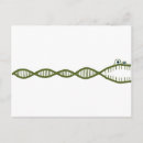 Search for genetics postcards Biology