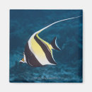 Recherche de animaux sous marins magnets Horizontal
