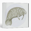 Search for manatee office supplies Mammal