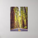 Recherche de arbre géant art Forêt