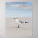 Search for seagull posters Waves