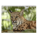 Recherche de sauvage chat calendriers Exotique
