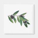 Recherche de oliviers magnets Olives