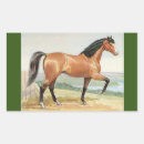 Search for show horse stickers Arabian