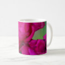 Search for rose bloom mugs Photography