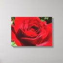 Search for red rose canvas prints Summer