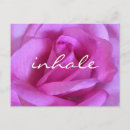 Recherche de rose et violet cartes postales Pour tous