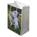 Search for golden retriever gift bags Dogs