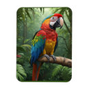 Search for macaw parrot magnets Pets