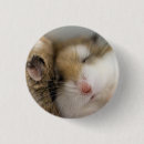 Recherche de bob badges Drôle