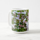 Search for jasmine flower mugs Nature