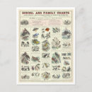 Recherche de zoologique cartes postales Oiseaux