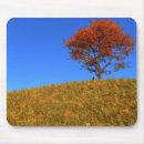 Search for clear mousepads Tree