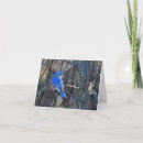 Search for bluebird of happiness cards Happy