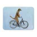 Search for bicycle magnets Animals