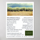 Recherche de olive photographie Pour tous