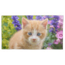 Search for kittens pillowcases Baby animals