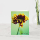 Search for yellow daisy flower cards Floral