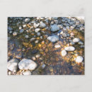 Recherche de illustration comique cartes postales Vacances