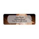 Search for maltipoo return address labels Maltese