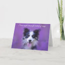 Recherche de chien border collie vœux cartes Mignon