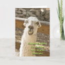 Search for braces cards Teeth