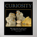 Search for duck saying posters Quote