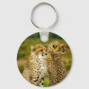 Search for cheetah cat keychains Africa