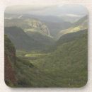 Recherche de canyons dessous de verres Forêt