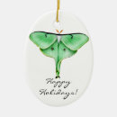 Search for luna moth ornaments Insects