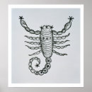 Search for scorpion posters Zodiac