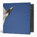 Search for jet plane binders Sky