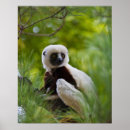 Search for lemur art Africa