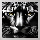 Search for black puma art Tiger