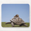 Recherche de escargot tapis souris Animal