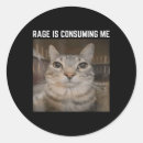 Search for consumable stickers Kitten