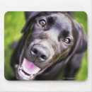 Search for full body mousepads Close up