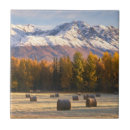 Search for bale tiles Usa