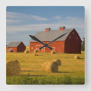 Recherche de foin horloges Ferme