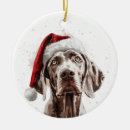 Search for weimaraner ornaments Watercolor
