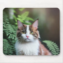 Search for ragdoll mousepads Cat