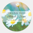 Search for white daisy flower stickers Baby shower